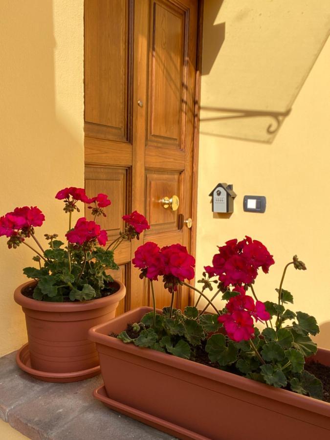 Le Casette Di Viola Arezzo Dış mekan fotoğraf